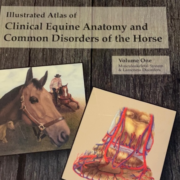 Other Clinical Equine Anatomy And Common Disorders Of The Horse Book